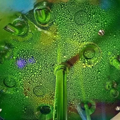 Image Riboflavin Testing