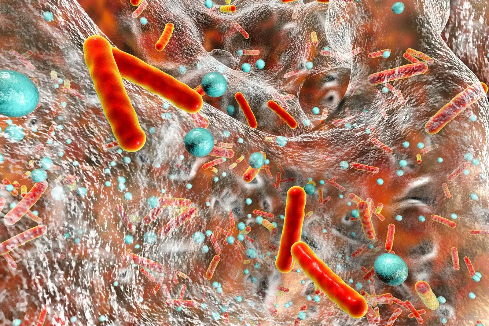 Microscopic contamination showing the importance of biofilm removal
